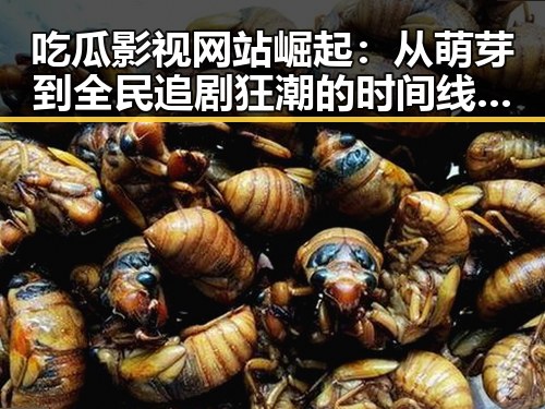 吃瓜影视网站崛起：从萌芽到全民追剧狂潮的时间线回顾