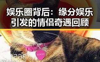 娱乐圈背后：缘分娱乐引发的情侣奇遇回顾