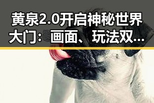 黄泉2.0开启神秘世界大门：画面、玩法双重升级引发热议