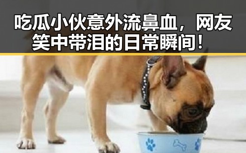 吃瓜小伙意外流鼻血，网友笑中带泪的日常瞬间！