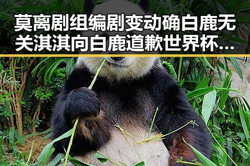 莫离剧组编剧变动确白鹿无关淇淇向白鹿道歉世界杯48队完成首秀乌龙进球最多