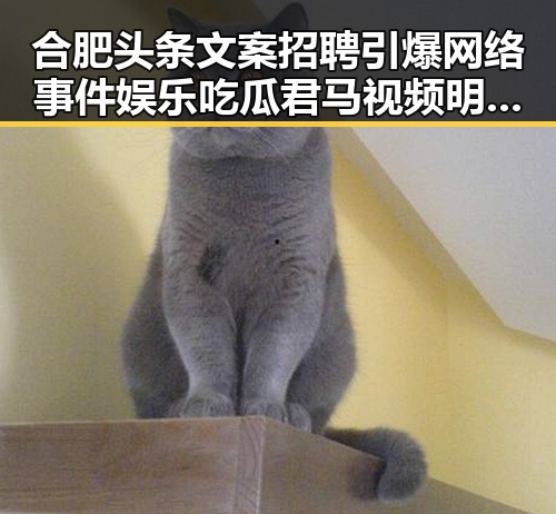 合肥头条文案招聘引爆网络事件娱乐吃瓜君马视频明星八卦揭秘
